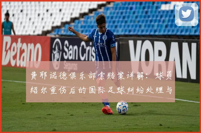 费耶诺德俱乐部索赔案详解:球员绍尔重伤后的国际足球纠纷处理与赔偿机制
