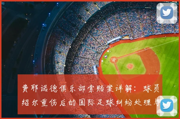 费耶诺德俱乐部索赔案详解：球员绍尔重伤后的国际足球纠纷处理与赔偿机制