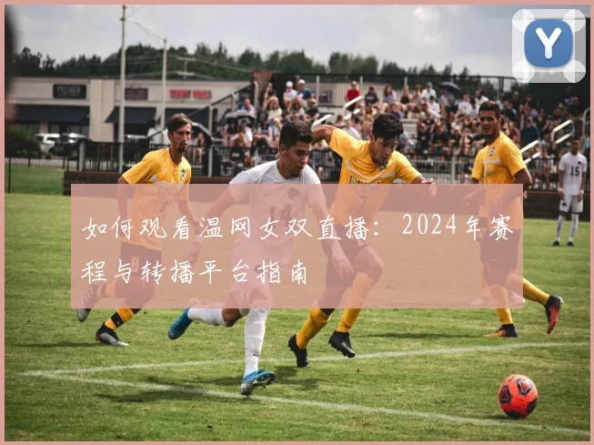 如何观看温网女双直播:2024年赛程与转播平台指南